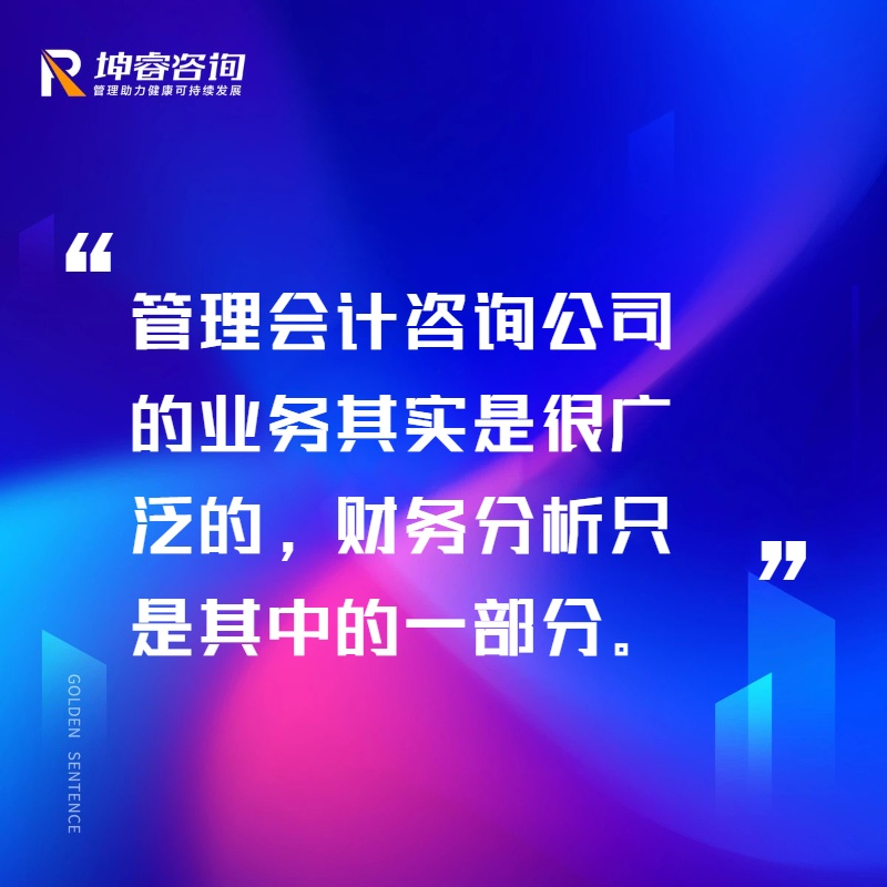 管理会计咨询公司.png