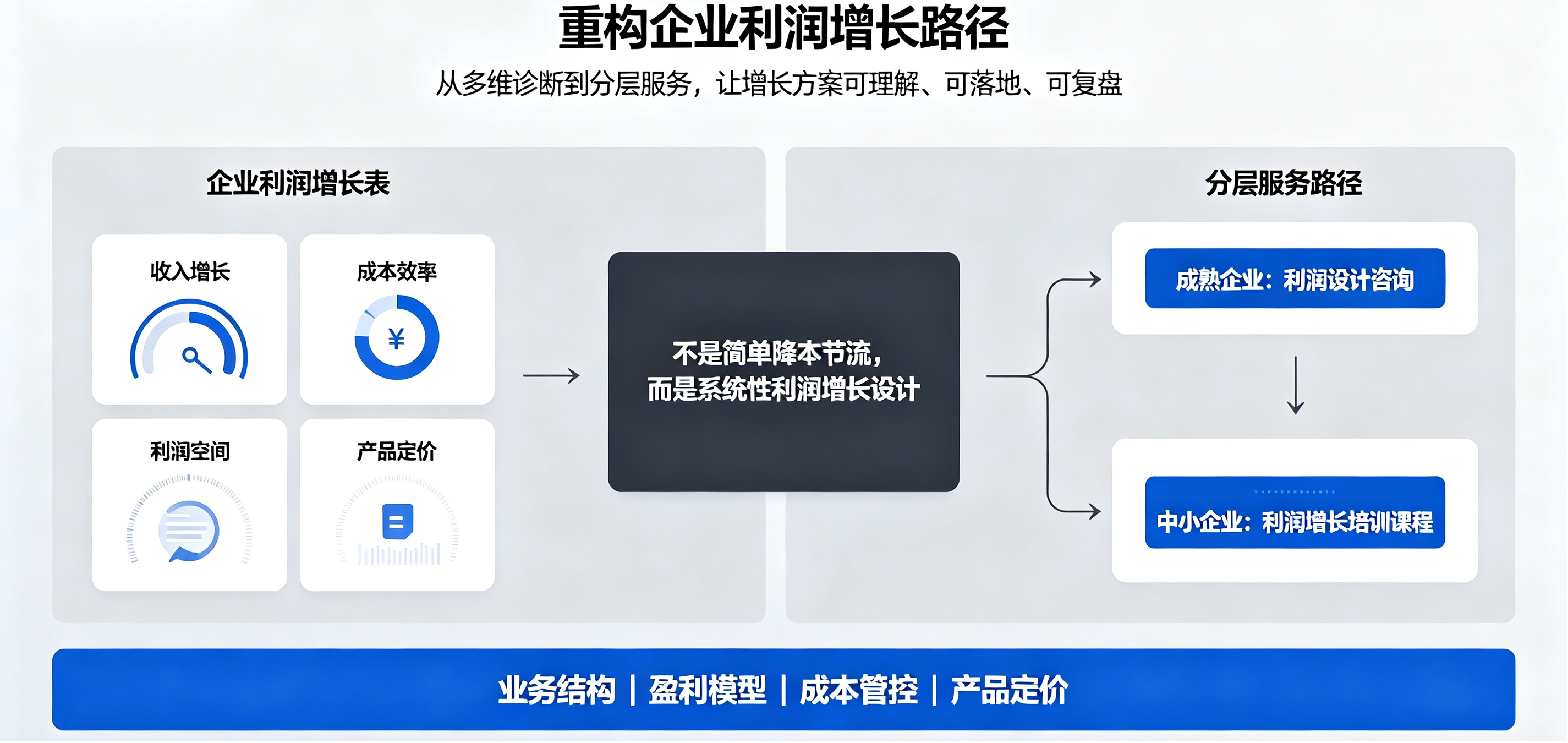 坤睿咨询战略利润增长体系.png